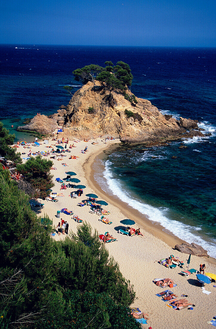 Blick von der Klippe, Cap Roig, near Platja d'Aro, Costa Brava, Catalonia, Spain