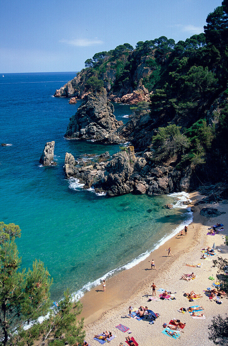 Sandstrand und Bucht entlang der Küste, Platja del Golfet, Calella de Palafrugell, Costa Brava, Katalonien, Spanien