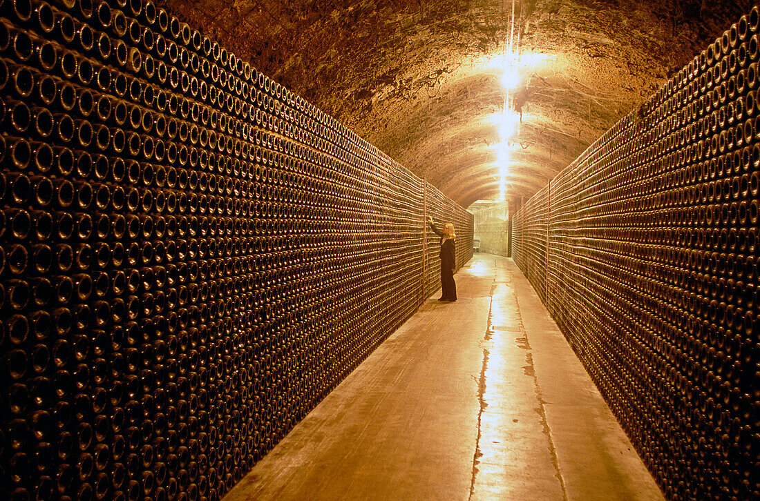 Flaschen in einem Weinkeller, Penedes, Cava Cellar methode champagnoise, Freixenet, Sant Sadurni d'Anola, Katalonien, Spanien