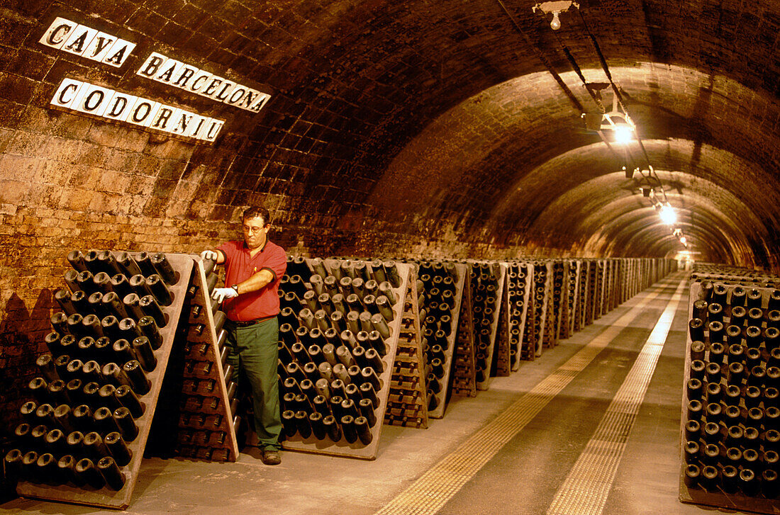 Cava Cellar methode champenoise, Codorniu, Sant Sadurni d'Anola, Katalonien, Spanien