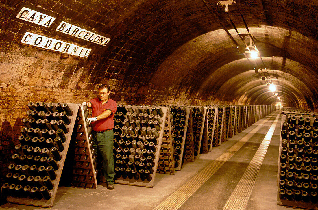 Man turning bottles in a wine cellar, Cava Cellar methode champenoise, Codorniu, Sant Sadurni d'Anola, Catalonia, Spain