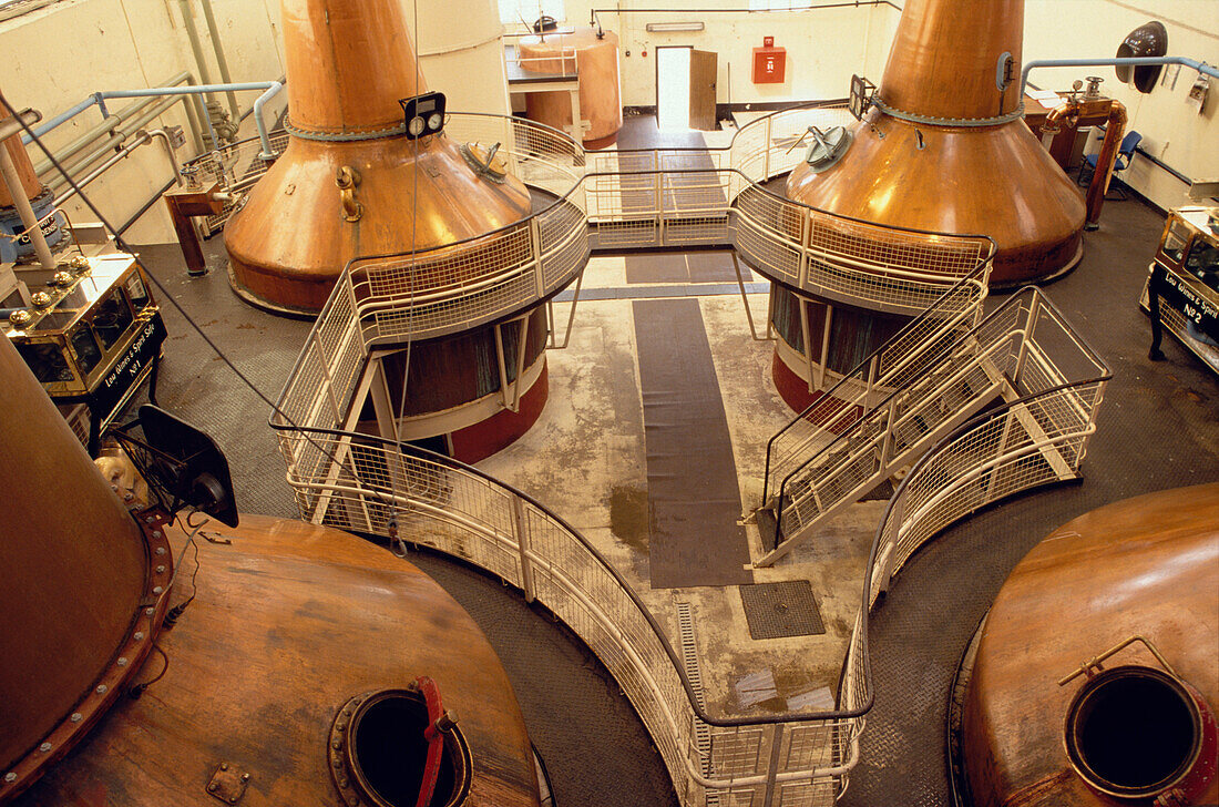 Gärungskessel in der Ben Nevis Destillerie, Fort William, Invernesshire, Schottland, Grossbritannien, Europa