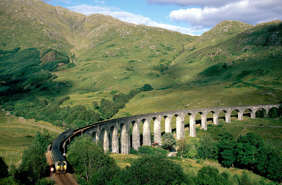 Train on Glenfinnan viaduct, Invernesshire, Scotland, Great Britain, Europe