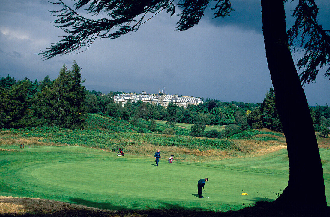 Golf course, Gleneagles Hotel, Pertshire, Tayside Scotland, Großbritannien
