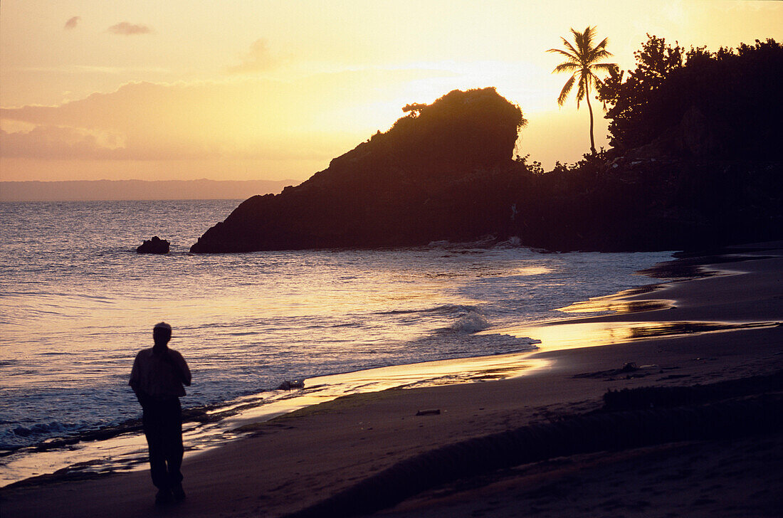 Beach, Man, Evening, Boats, Beach in the evening a man is walking alone Cacaos Samana Peninsula Dominican Republic