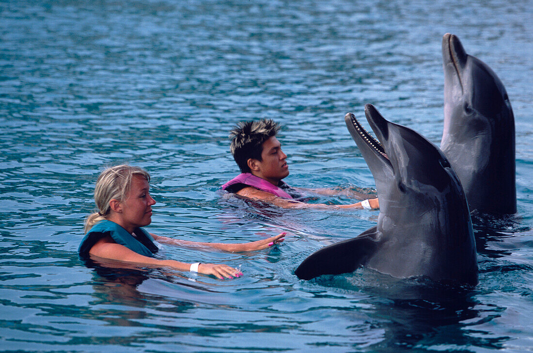 Frauen schwimmen mit Delfinen in Ocean World, Playa Cofresi, Puerto Plata, Dominikanische Republik, Karibik