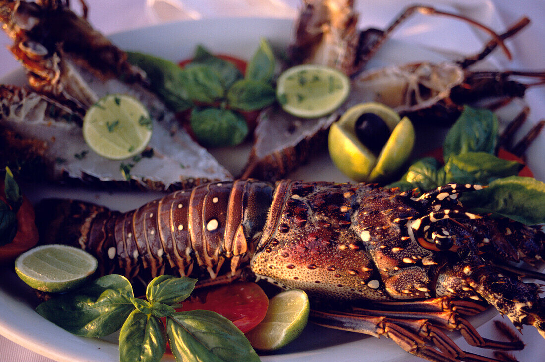 Lobster in La Puntilla De Piergiorgio Palace Restaurant, Sosua, Dominican Republic, Caribbean