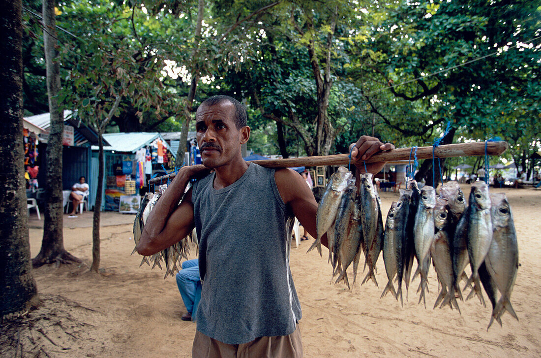 Man, Selling, Fish, Selling fish on Sosua Beach, Dominican Republic