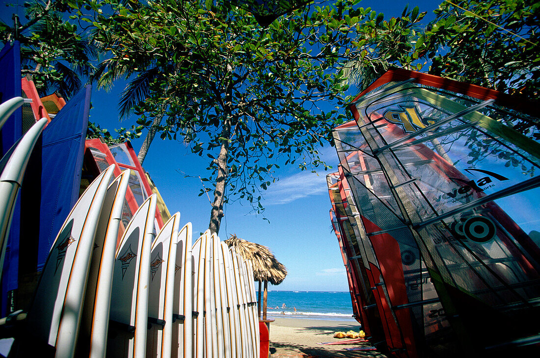 Surf Boards, Beach, Line, Boards lined up in a Surf School on the beach of Cabarete, Dominican Republic