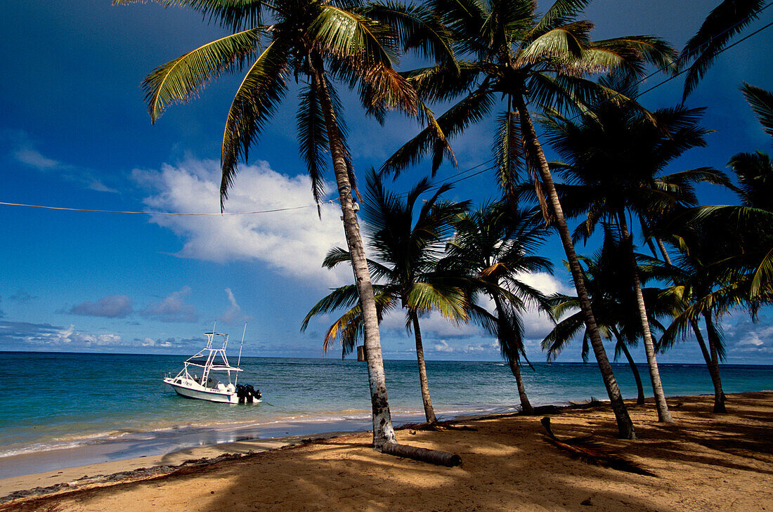 Motor Boat, Beach, Playa Cacao in Las Terrenas, Samana Peninsula, Dominican Republic