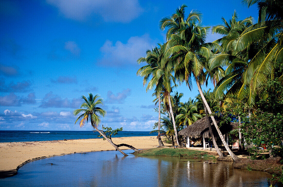 Beach Bar, Hut, Bay, Palmtrees, Beach Bar at Playa Bonito in Las Terrenas, Samana Peninsula, Dominican Republic