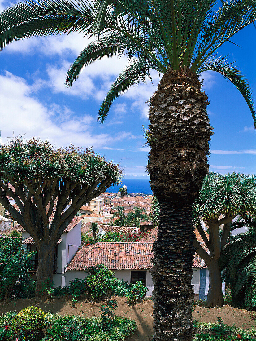 Altstadt, La Orotava, Teneriffa, Kanarische Inseln, Spanien, Europa