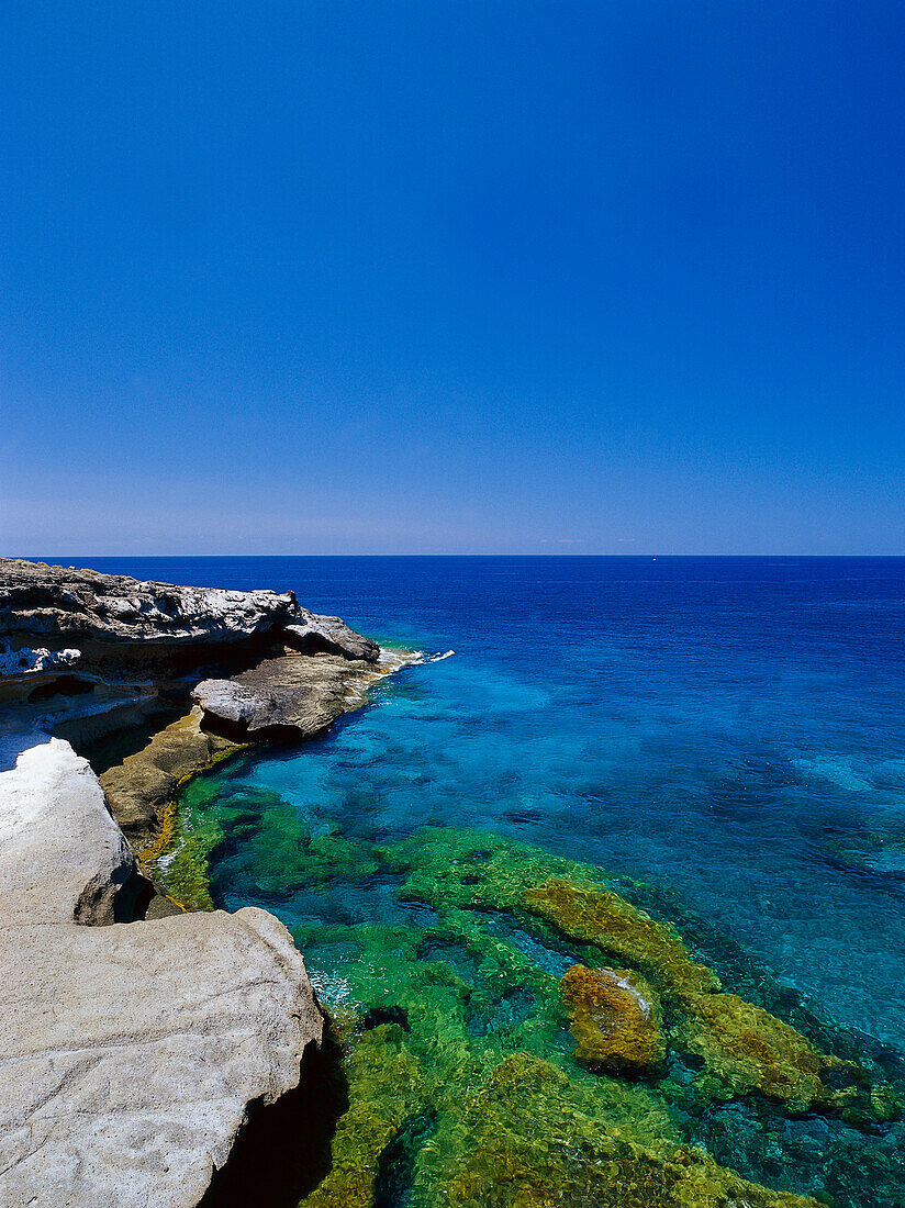 Coast, Costa de Adeje Tenerife, Canary Islands, Tenerife, Canary Islands, Spain