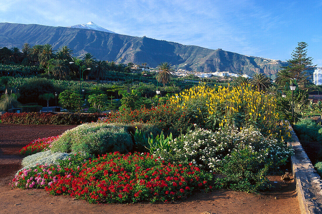 Strandpark, Puerto de la Cruz, Orotava Tal, Teneriffa, Kanarische Inseln, Spanien, Europa