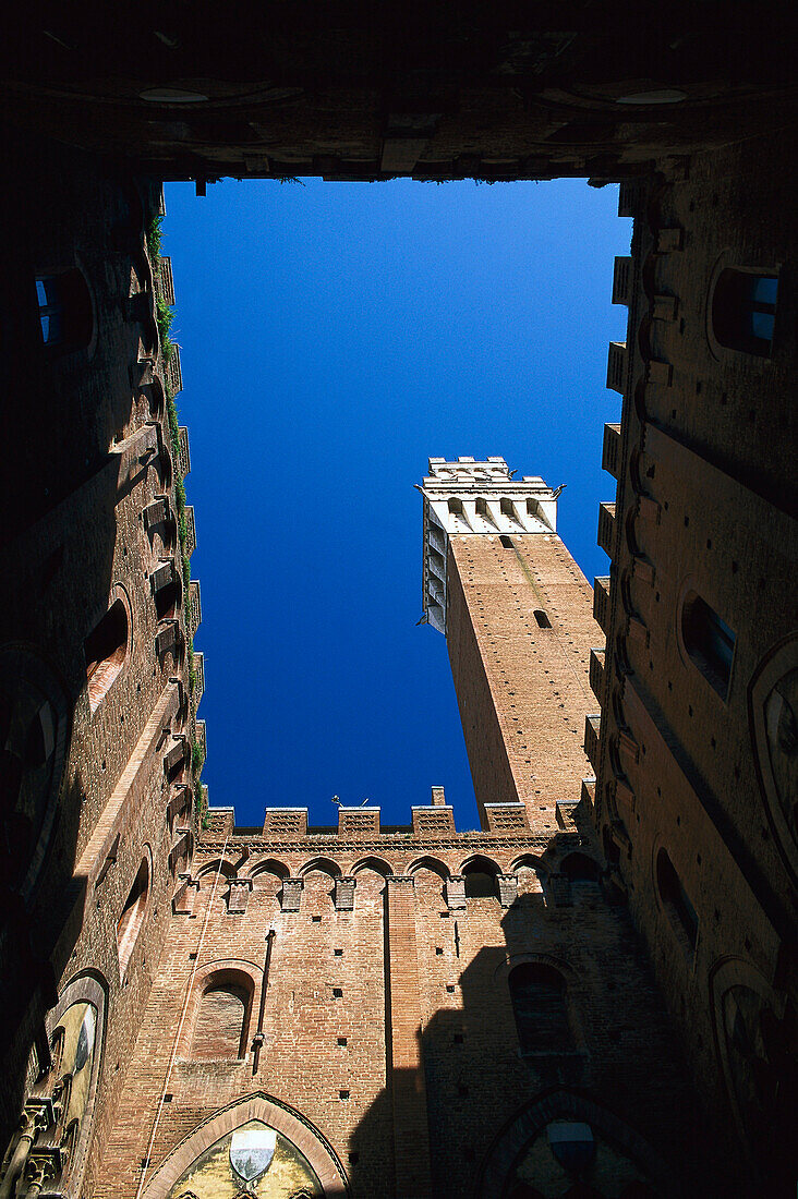 Blick auf Torre del Mangia Turm von unten, Siena, Toskana, Italien