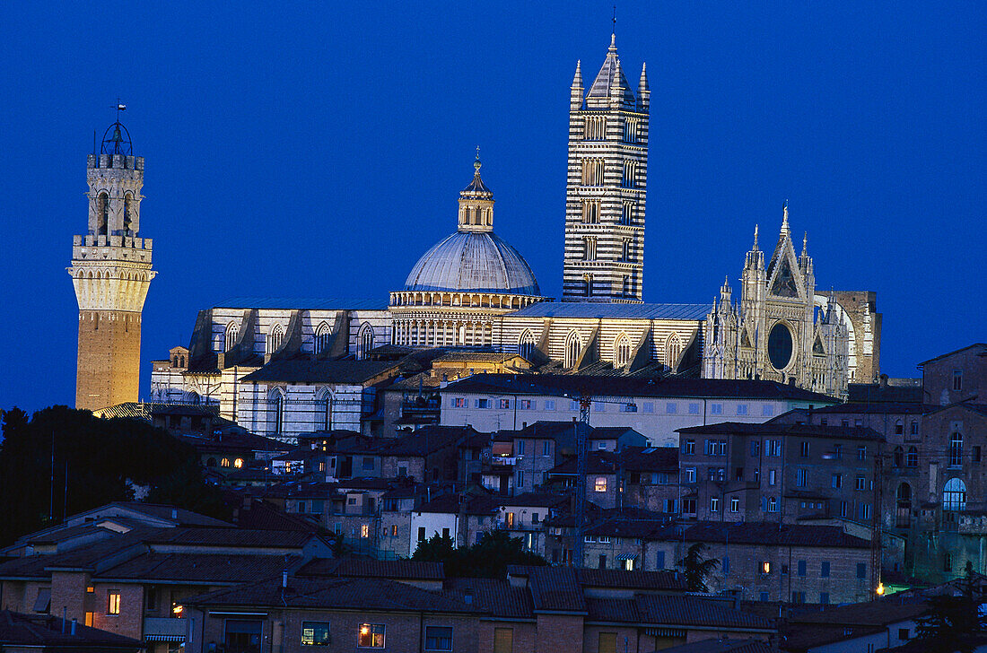 The cathedral of Ciena at night, Siena, Tuscany, Italy