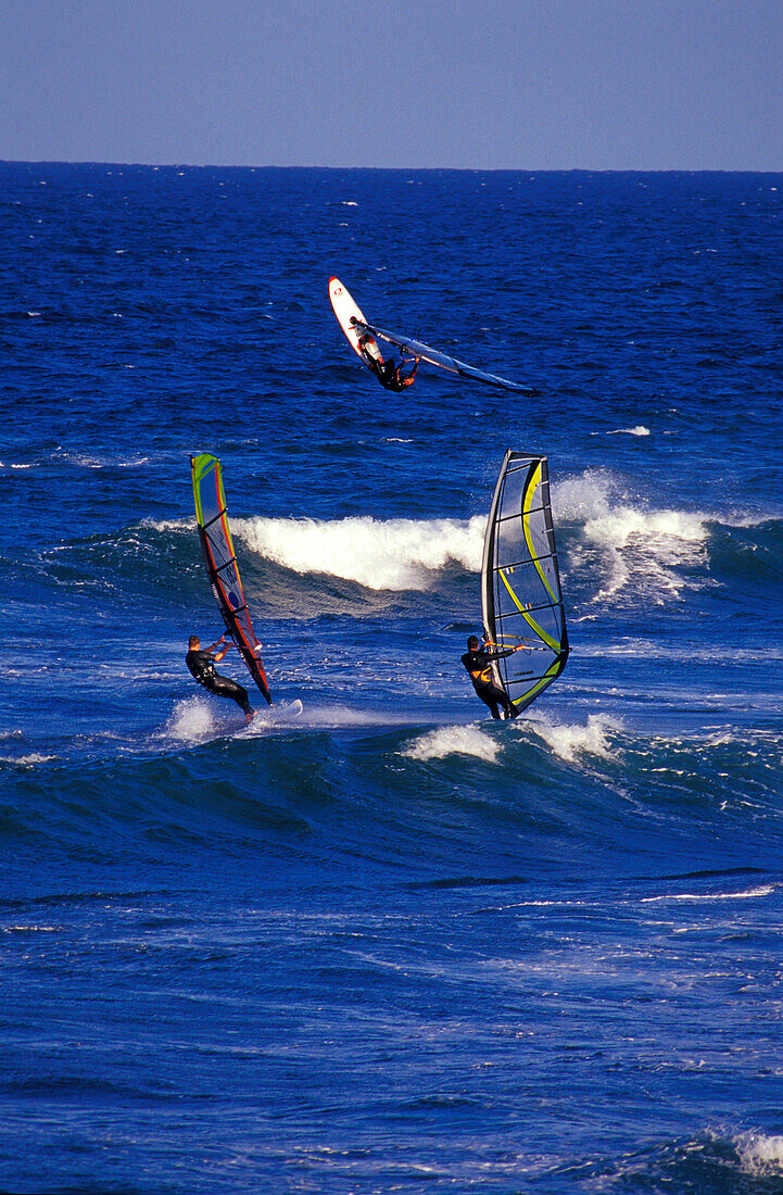 Windsurfer, Spain Canary Islands