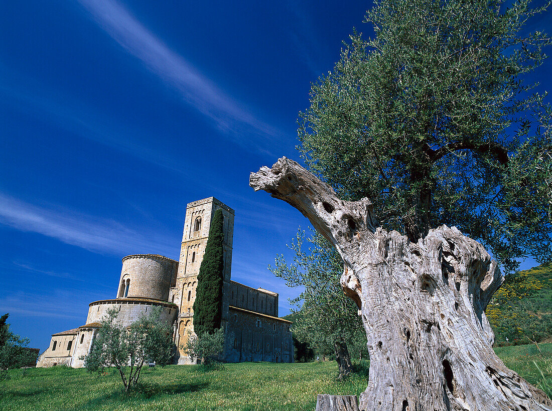 Blick auf Sant' Antimo Abtei, Lucca, Toskana, Italien