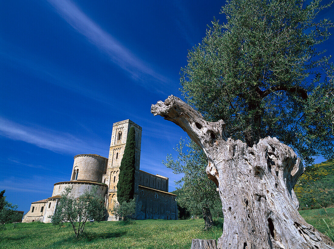 View on Sant' Antimo Abbey, Lucca, Tuscany, Italy