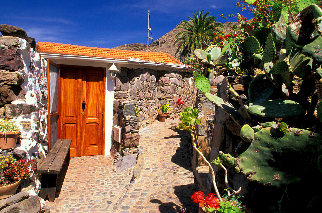 Door with cacti, Casa La Pintora, Turismo Rural, Gran Canaria, Canary Islands, Spain