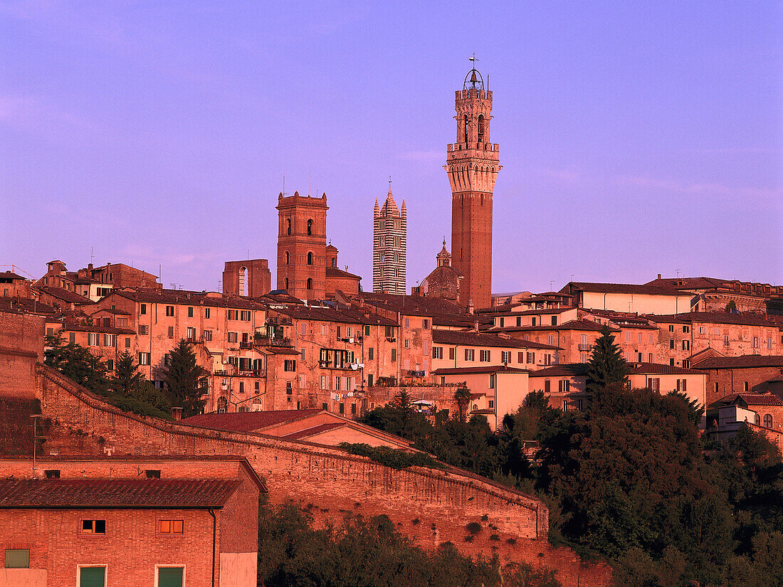 Blick auf Siena, Siena, Toskana, Italien