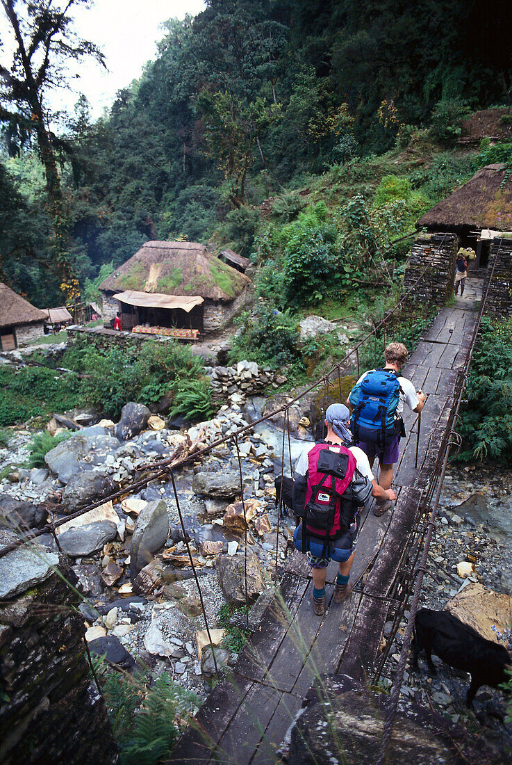 Trekking, Region of Annapurna, Nepal