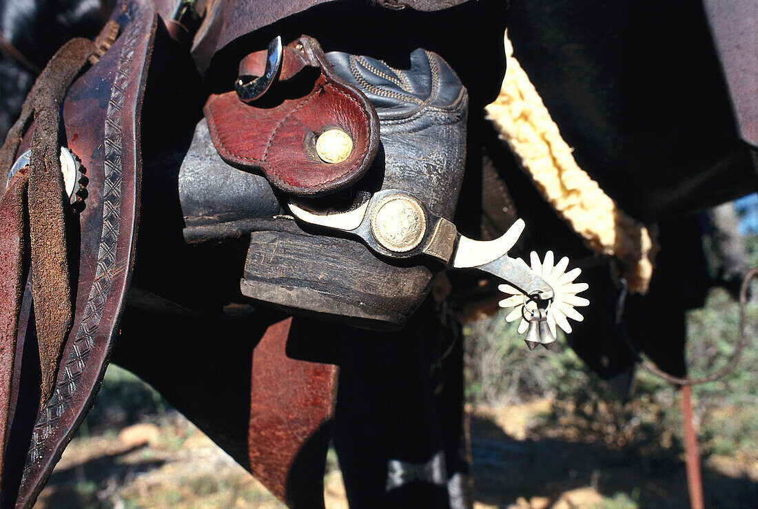 Cowboy boots with spurs, Arizona USA