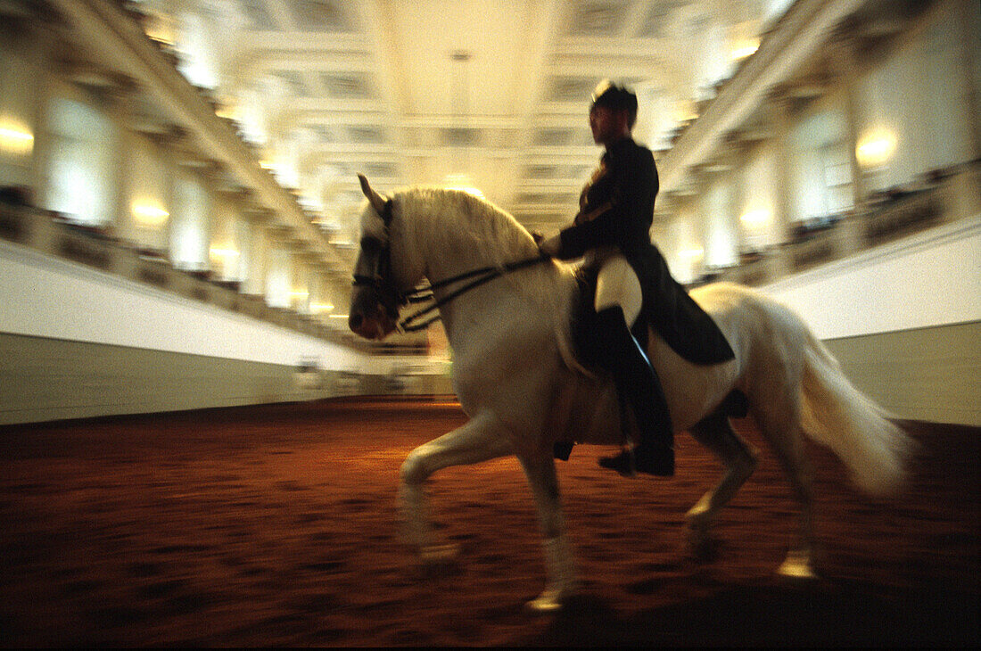 Spanish Riding School, Vienna, Austria