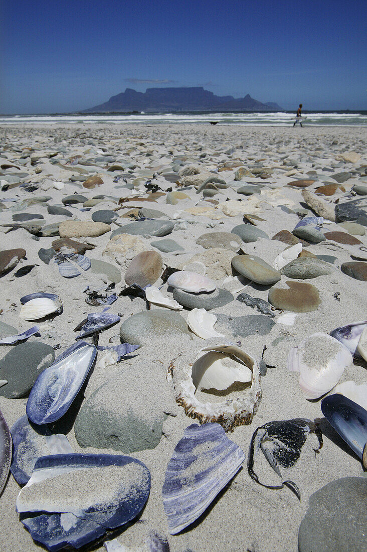 Muscheln und Steine im Sand, Bloubergstrand, Westkap, Südafrika