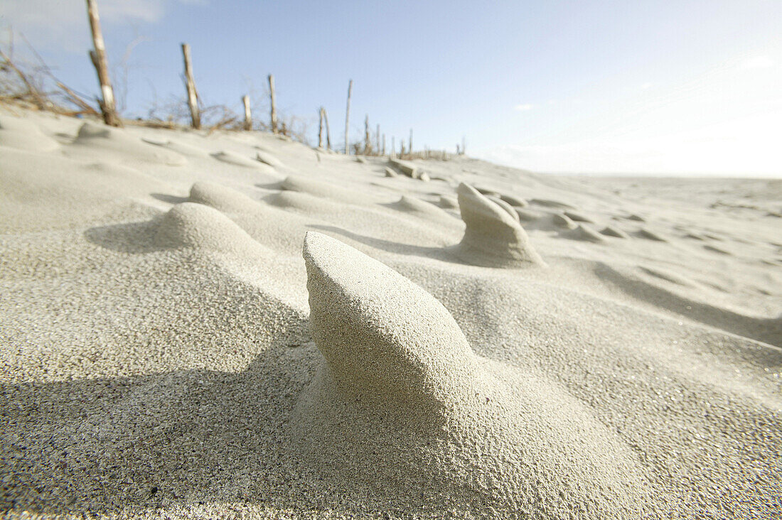 Windblown formations of sand on Grotto Beach, Hermanus, Western Cape, South Africa, Africa