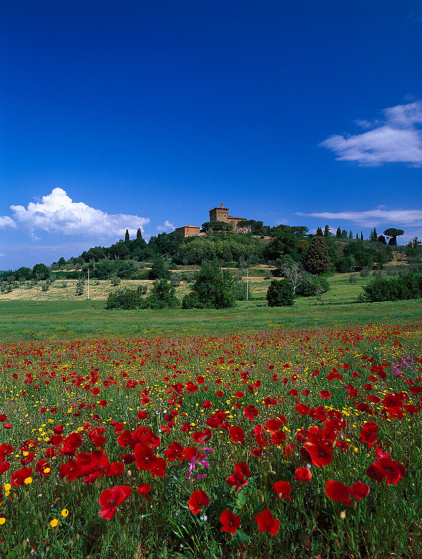 Palazzo Massani bei Montepulcano, Toskana, Italien