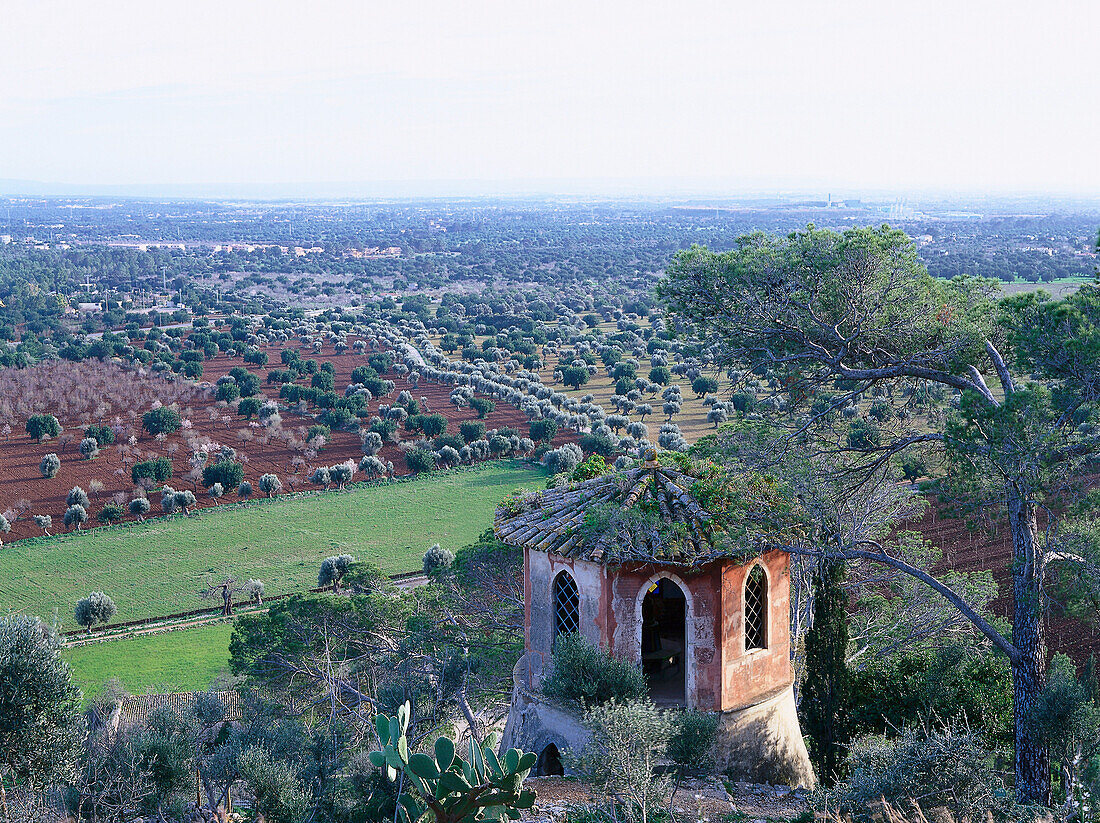 Pavillon und Olivenhain, Raixa Manor, Bunyola, Mallorca, Spanien