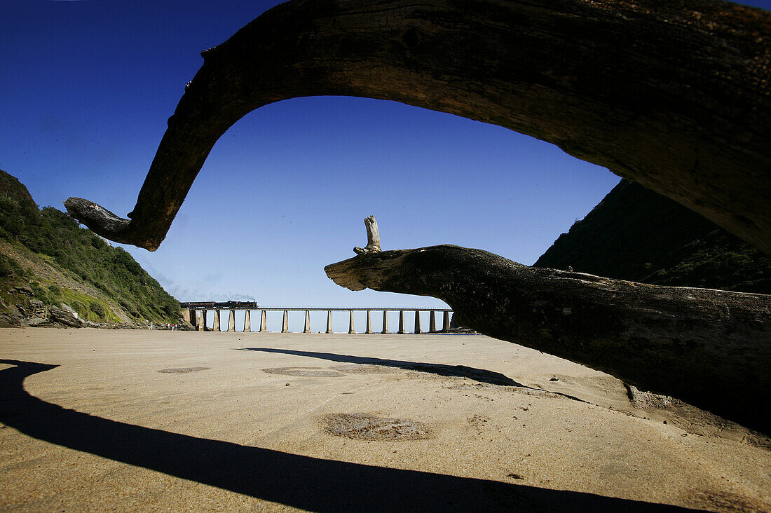 Historic train passes over Kaaimans River mouth, near Wilderness, Garden Route, Western Cape, South Africa