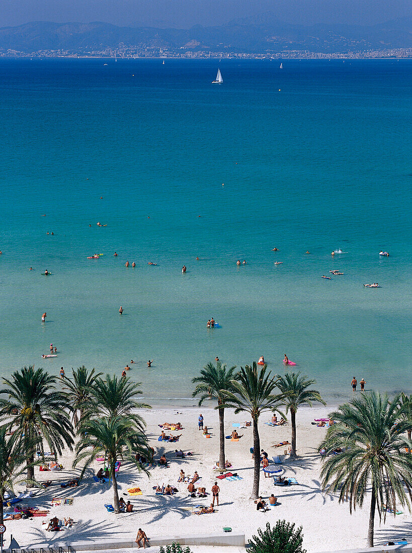 Palmenstrand, Beachlife, Platja de S' Arenal, Bahia de Palma, Mallorca, Spanien