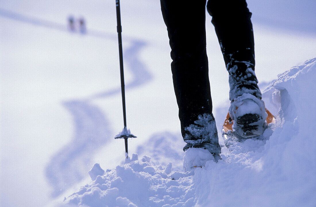 Snowshoe hiker, Schellenberg, Stubai Alps, Austria