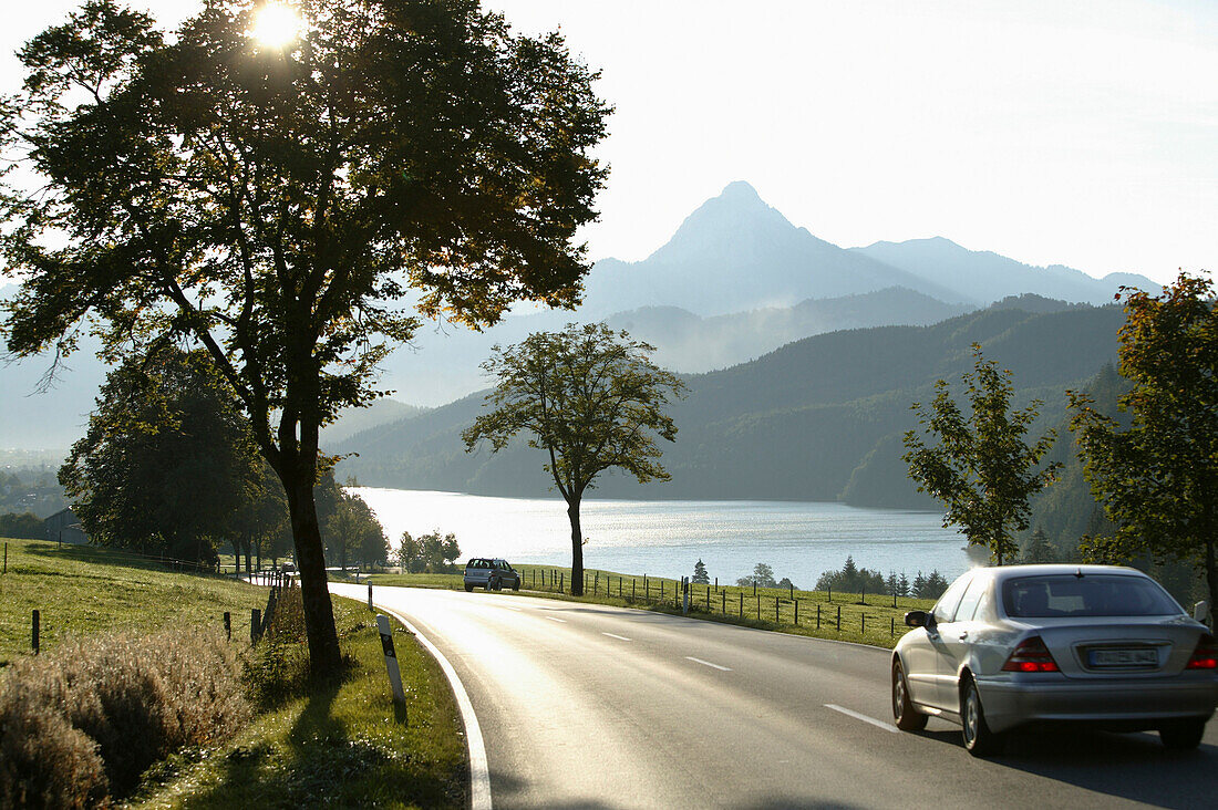 Auto fährt auf Alpenstraße am Weißensee, bei Füssen, Schwaben, Bayern, Deutschland