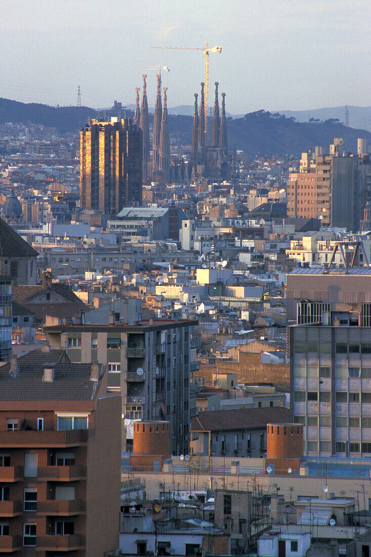Blick über die Häuser und Türme der Stadt, Barcelona, Spanien, Europa