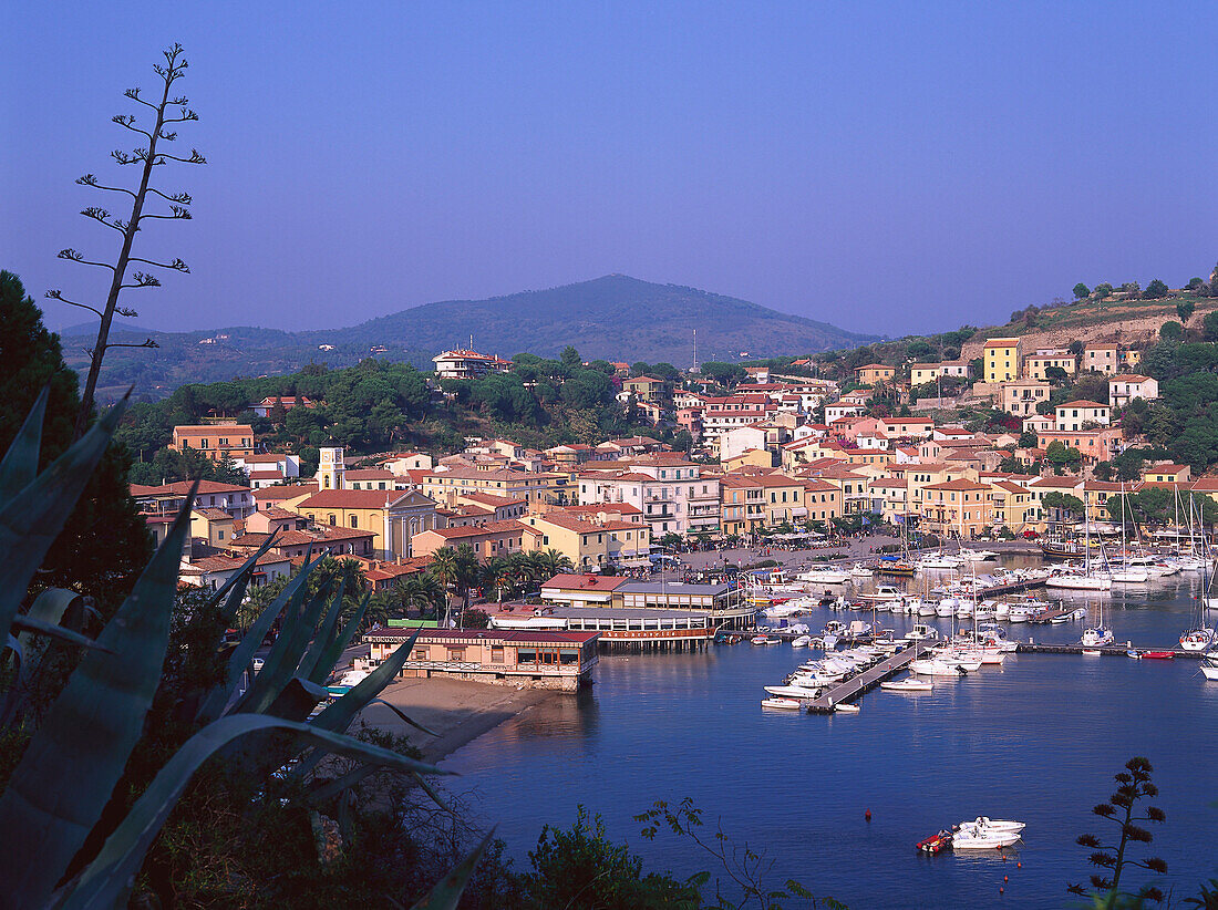 Porto Azzurro, Elba, Tuscany, Italy