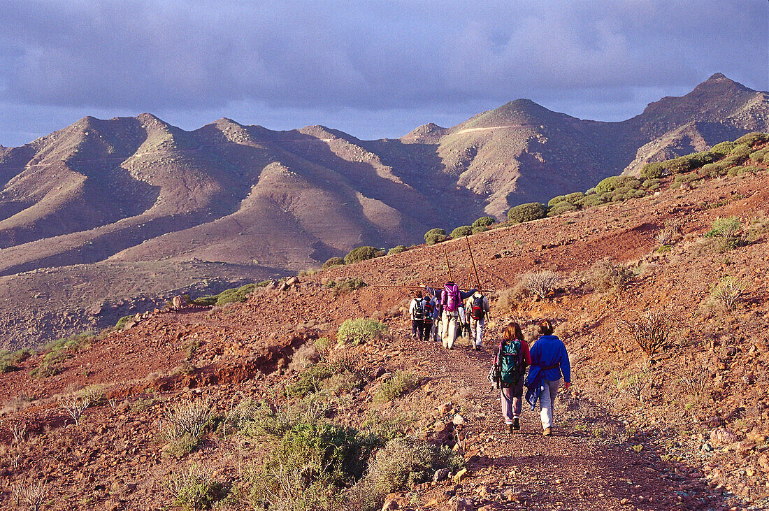 Hiking in Tamadaba-San Nicolás, Gran Canaria, Kanarische Inseln, Spanien