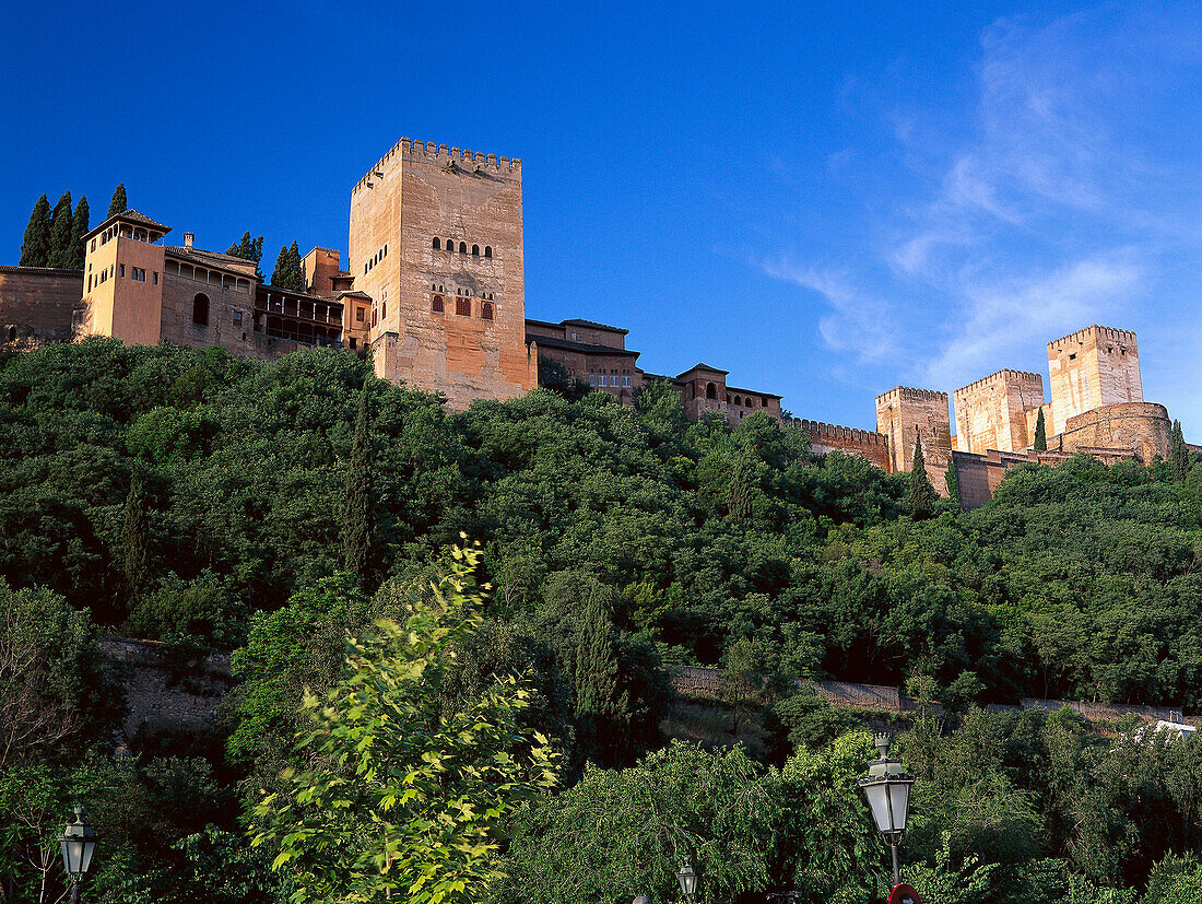 View from the Darro River valley up to the Alhambra, Moorish palace, Granada, Andalusia, Spain
