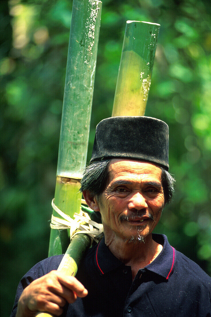 Local man carrrying rice wine in bamboo, Torajaland, Sulawesi, Sunda Islands, Indonesia