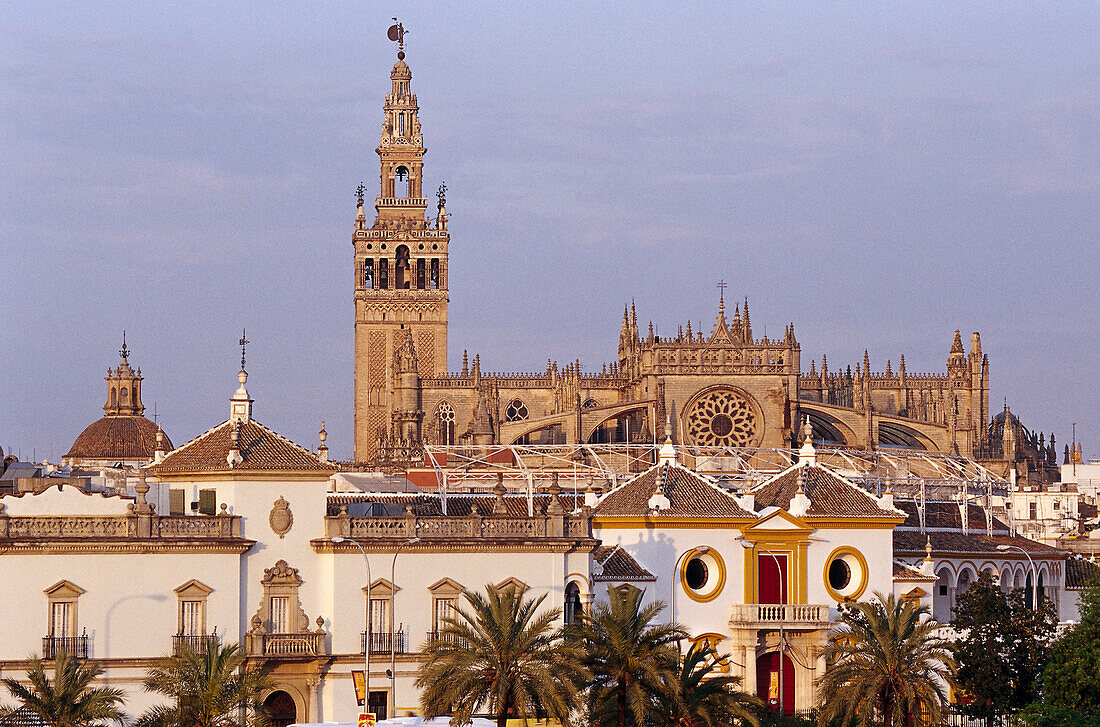 Cathedral, Arena, Sevilla Andalusia, Spain