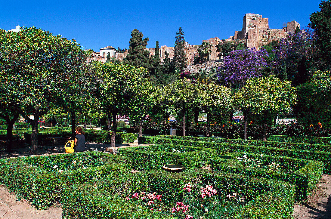 Parkanlage und die Festung Alcazaba im Sonnenlicht, Costa del Sol, Malaga, Andalusien, Spanien, Europa