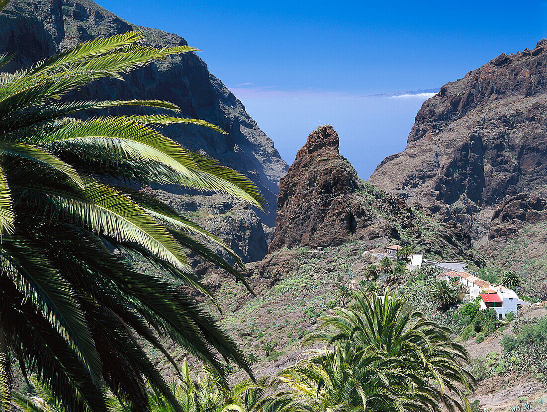 Masca Gorge, Masca, Teno mountains, Tenerife, Canary Islands, Spain