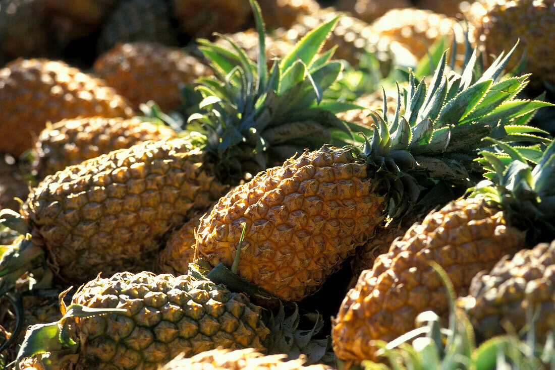 Close up of pineapples, La Réunion, Indian Ocean