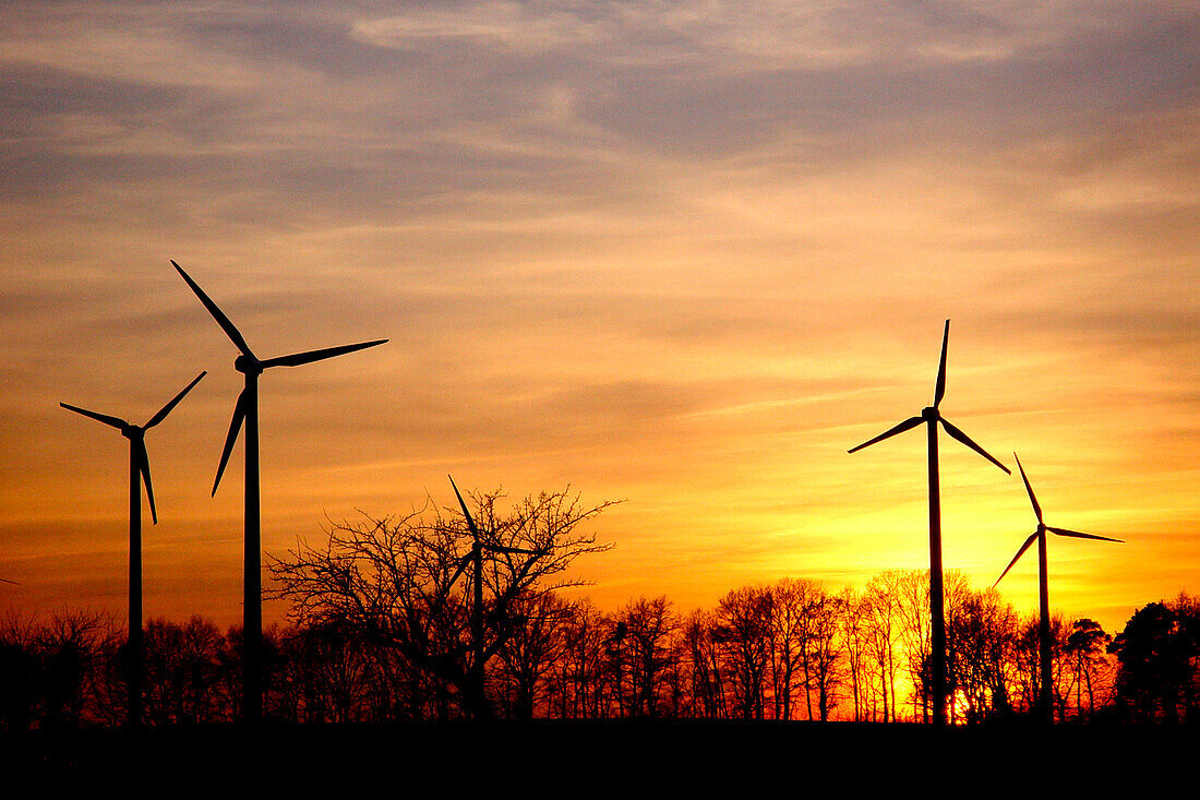 Wind park at sunset, Wittstock, Mecklenburg-Western Pomerania, Germany