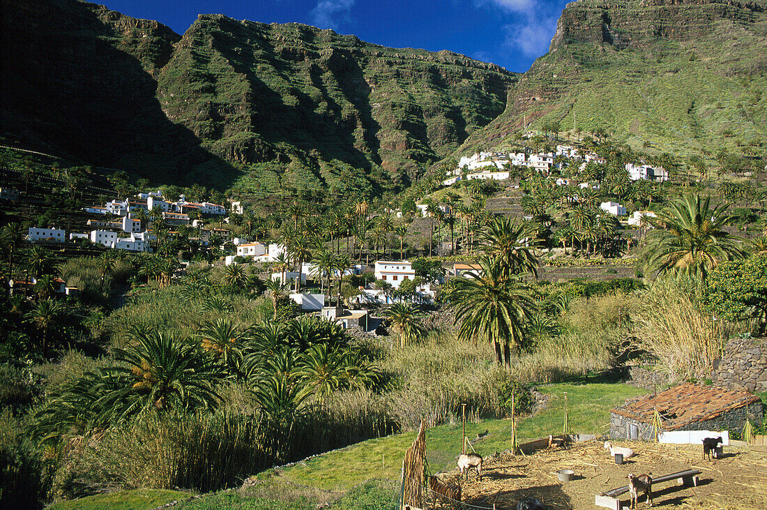 Lomo de Balo, Valle Gran Rey, La Gomera, Kanarische Inseln, Spanien