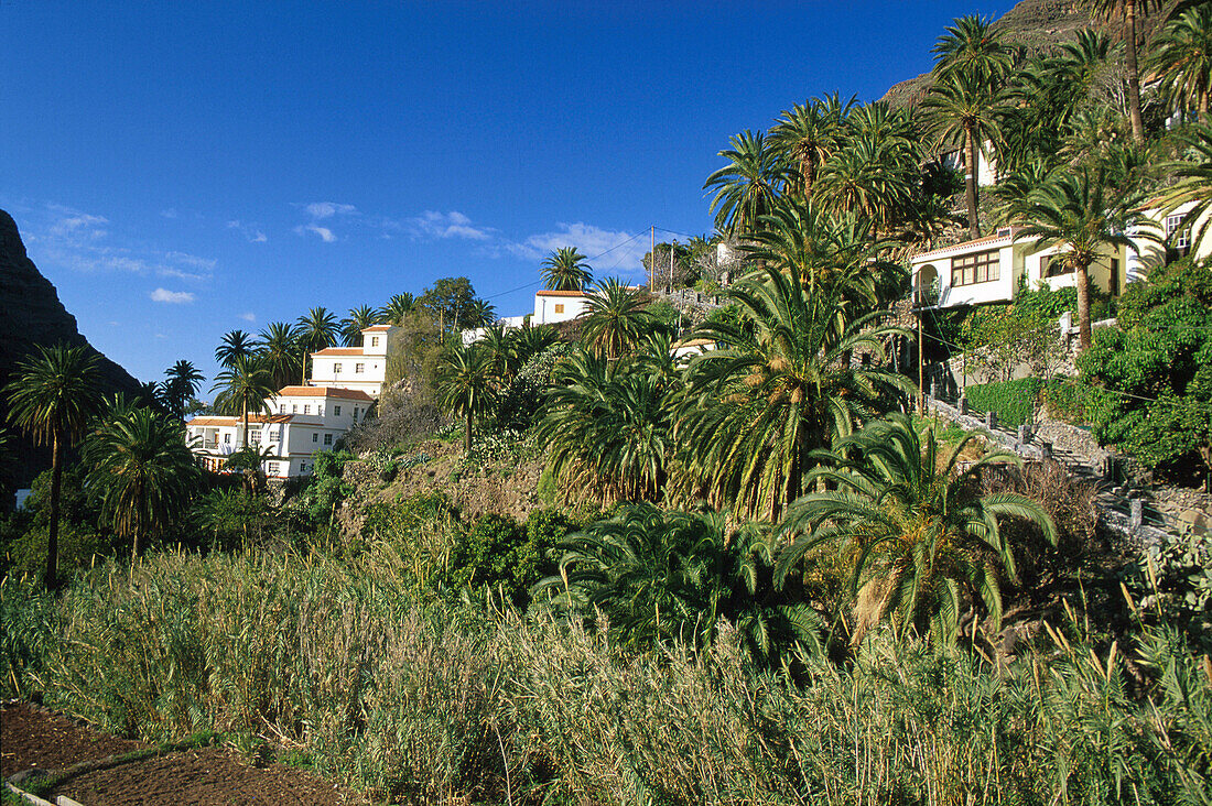 El Guro in Valle Gran Rey, La Gomera, Canary Islands, Spain