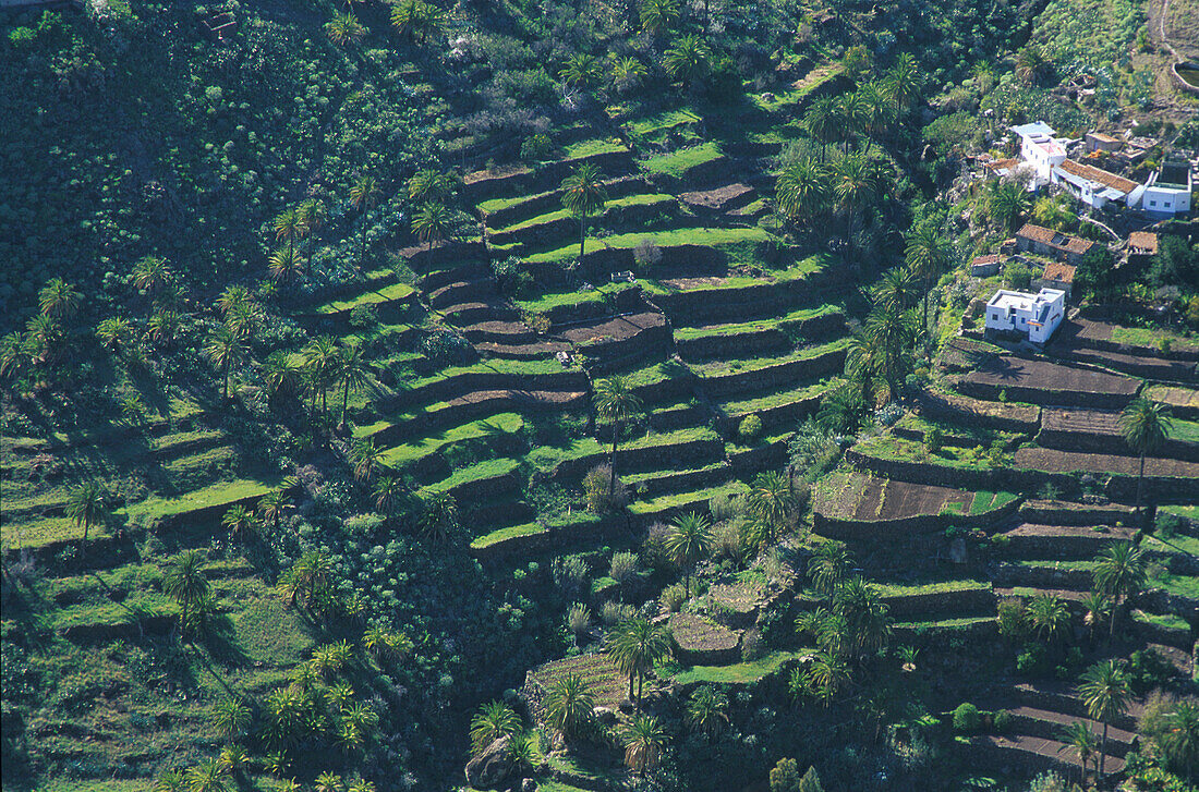 Terrassenfeldbau, Lo del Gato, La Gomera Kanarische Inseln