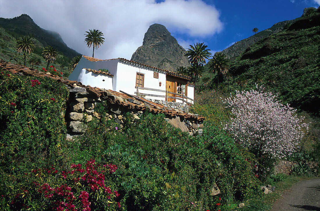 Landhaus, Tal von Bechijigua, Roque Agando, La Gomera, Kanarische Inseln, Spanien